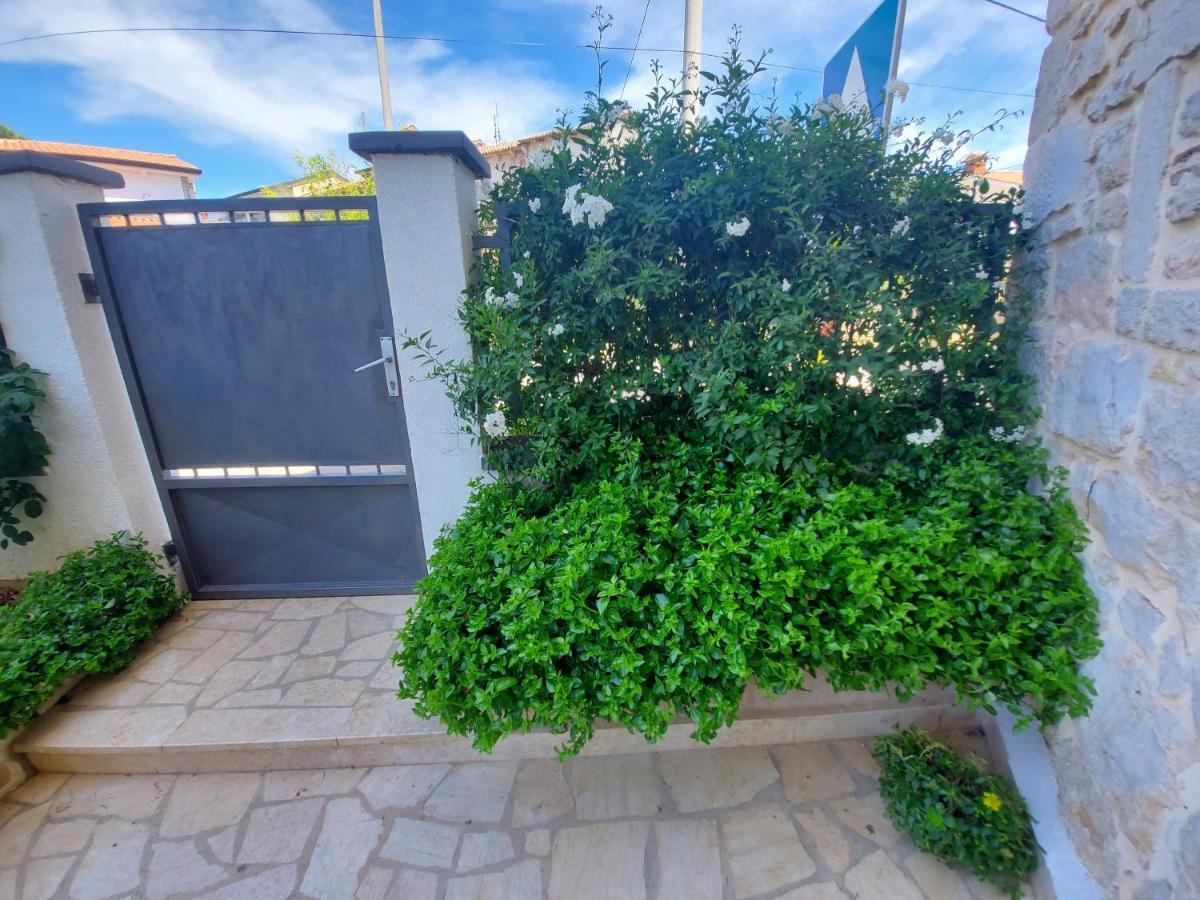 Villa Zita Poreč Exteriér fotografie