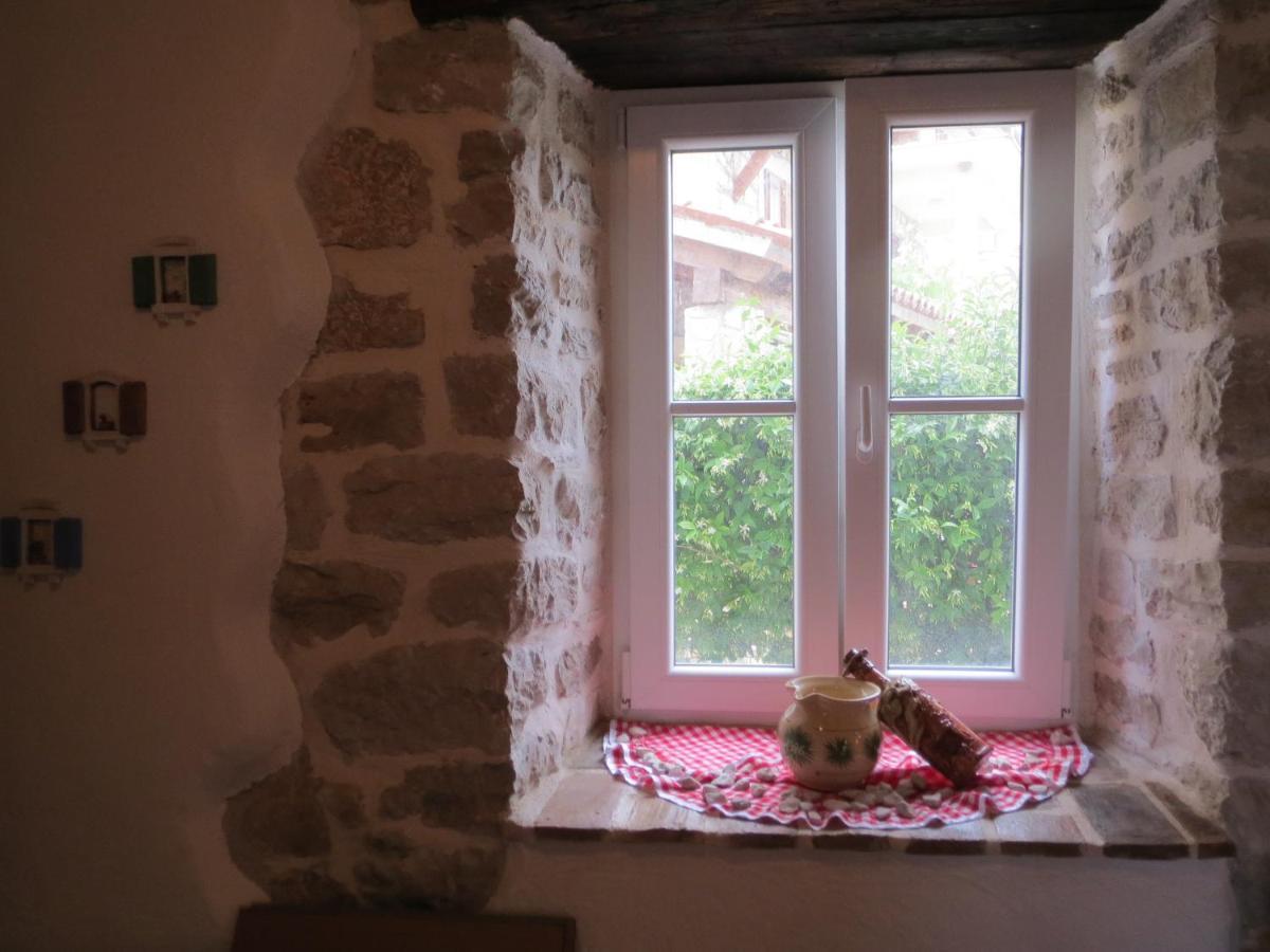 Villa Zita Poreč Exteriér fotografie